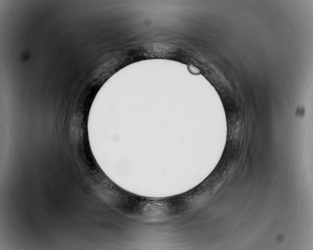 X0000103430599200810241100