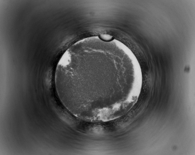X0000103430600200810241100