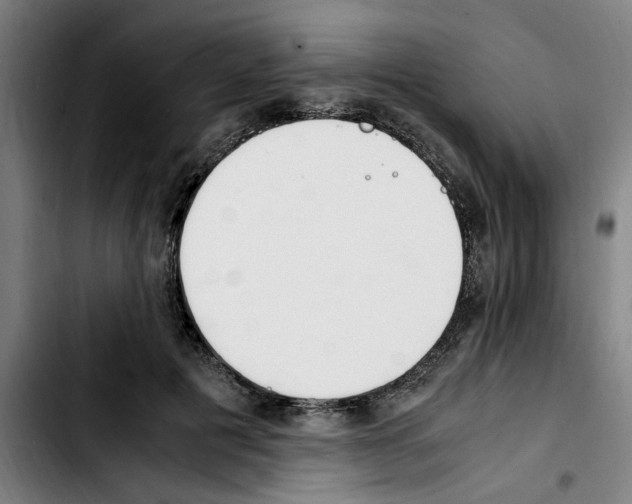 X0000103430601200810241100