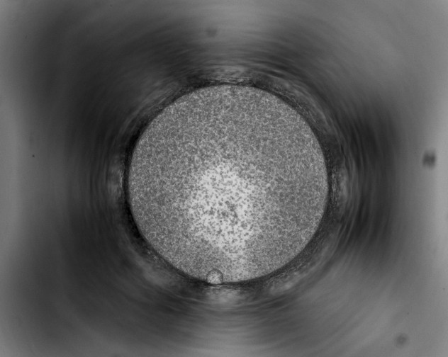 X0000103430602200810241100