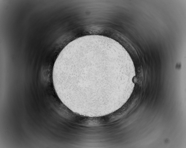 X0000103430604200810241100