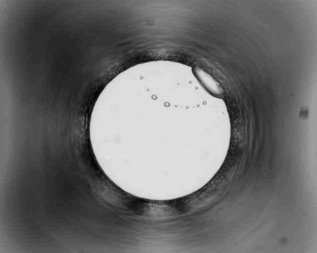 X0000103430605200810241100