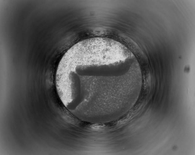 X0000103430606200810241100