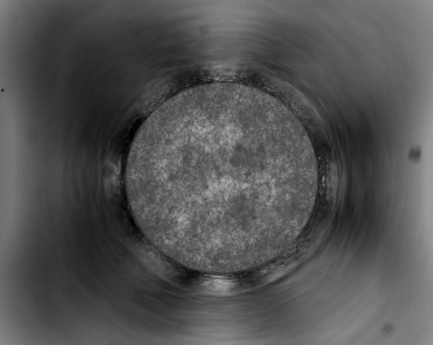 X0000103430610200810241100