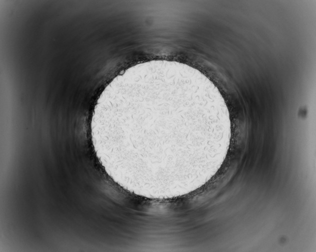 X0000103430612200810241100