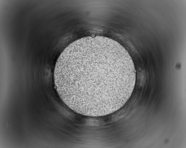 X0000103430614200810241100