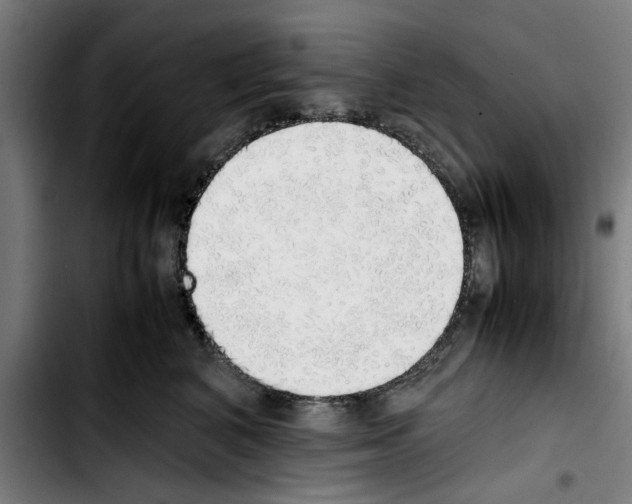 X0000103430616200810241100