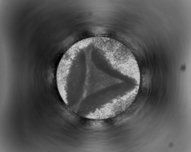 X0000103430618200810241100