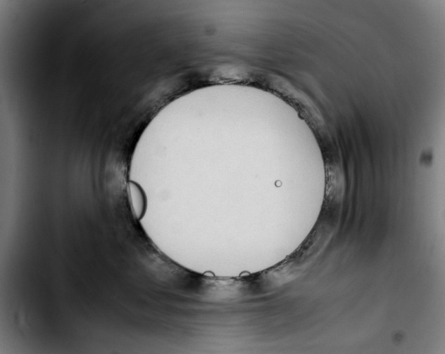 X0000103430621200810241100