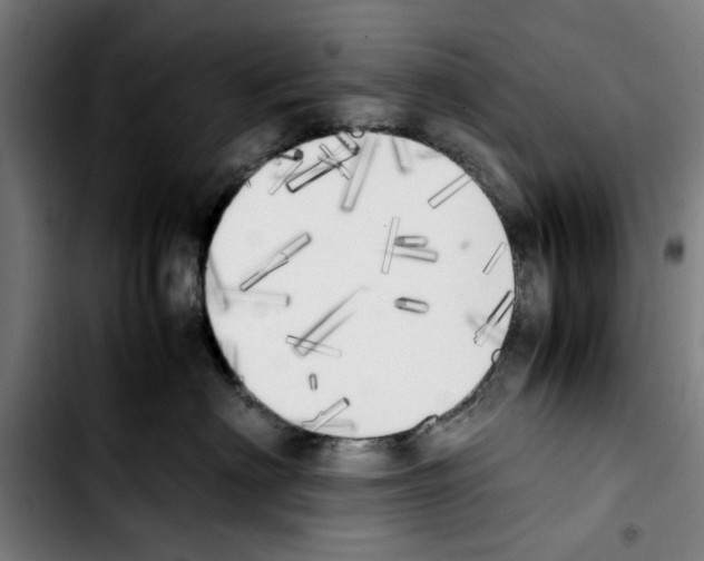 X0000103430622200810241100
