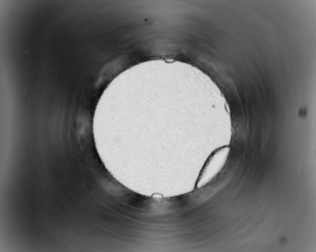 X0000103430623200810241100