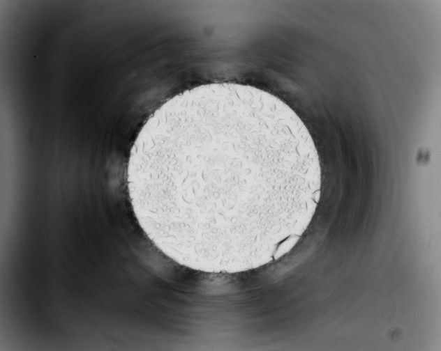 X0000103430624200810241100