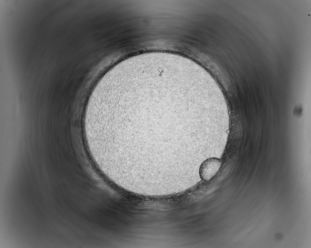 X0000103430625200810241059