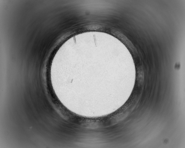 X0000103430626200810241059