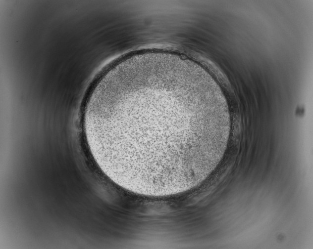X0000103430628200810241059