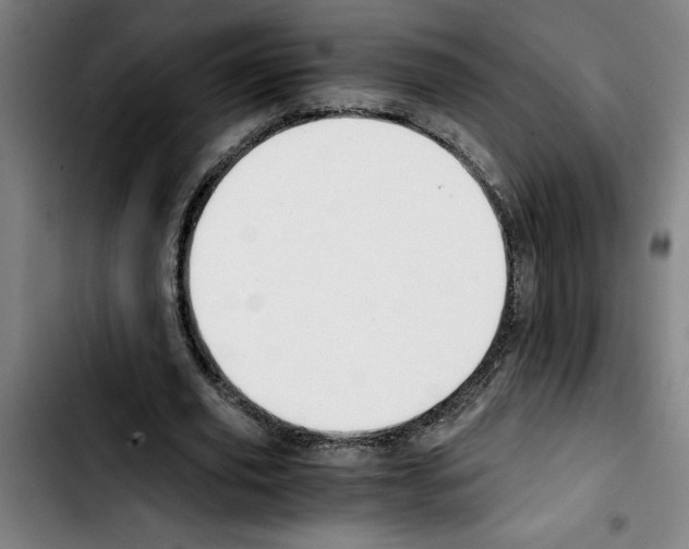 X0000103430629200810241059