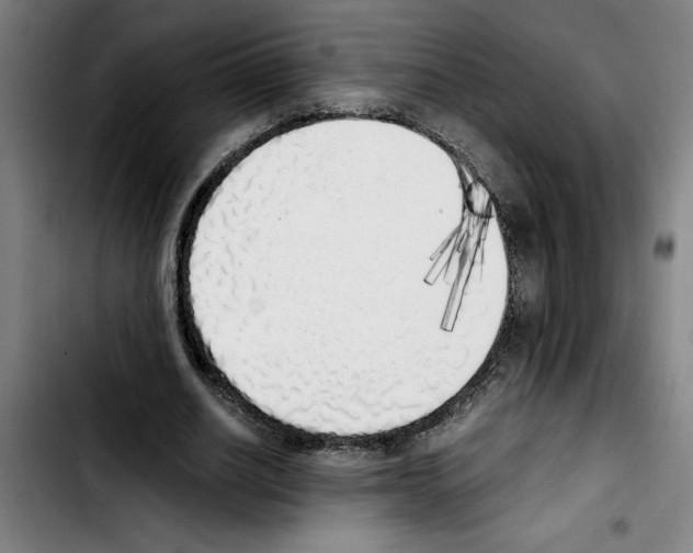 X0000103430630200810241059