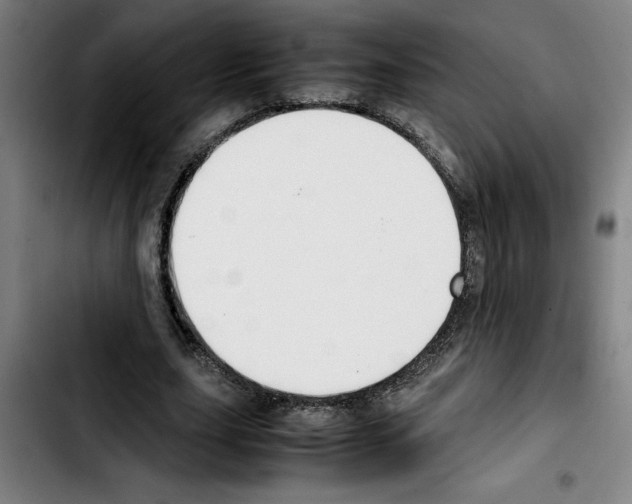 X0000103430631200810241059