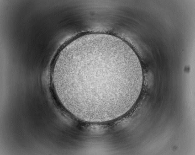 X0000103430632200810241059