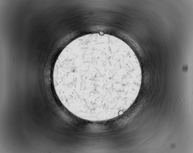 X0000103430633200810241059