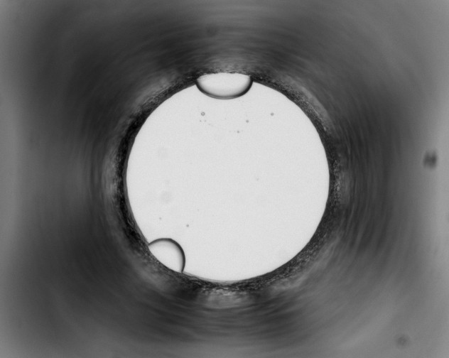 X0000103430635200810241059
