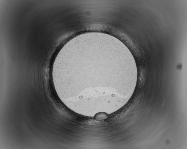 X0000103430636200810241059