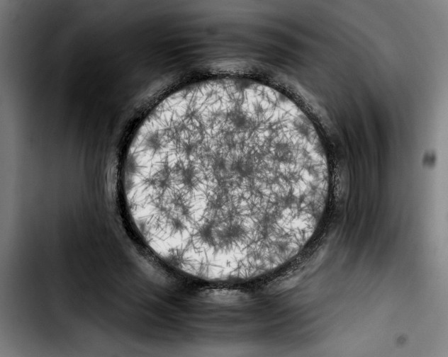 X0000103430637200810241059