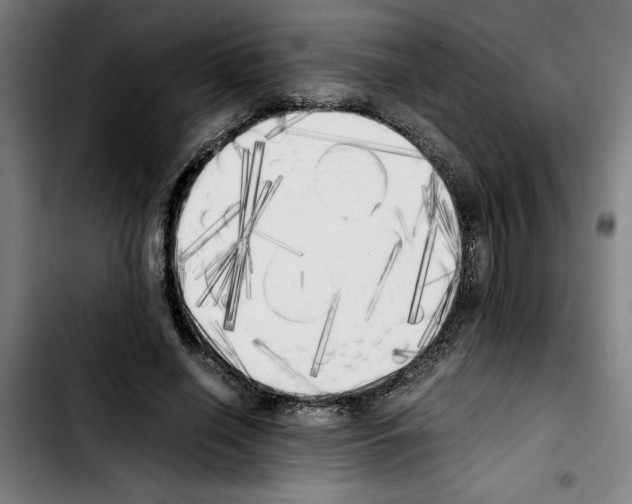 X0000103430638200810241059