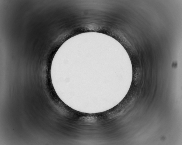 X0000103430639200810241059