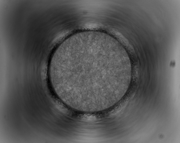 X0000103430640200810241059
