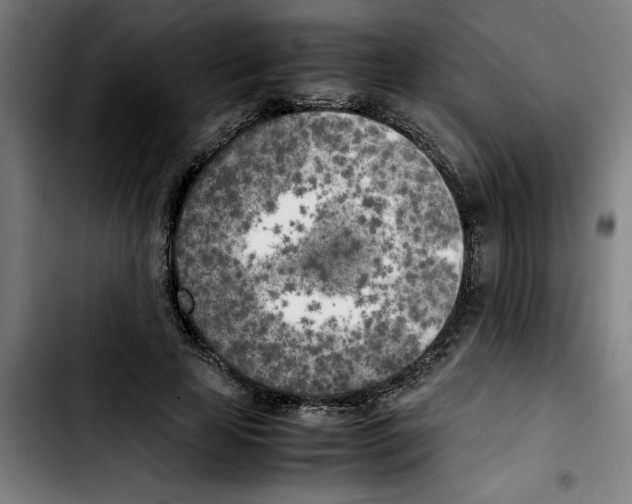 X0000103430641200810241059