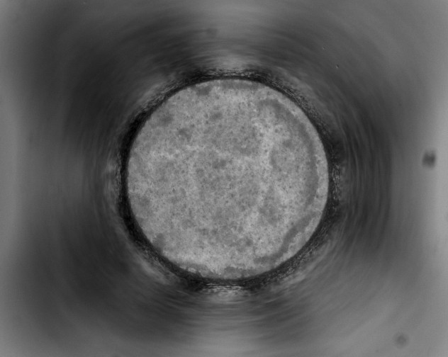 X0000103430642200810241059