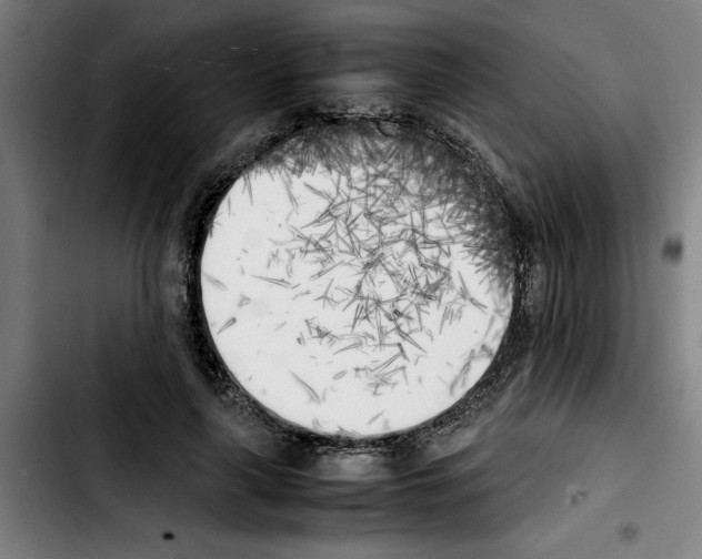 X0000103430643200810241059