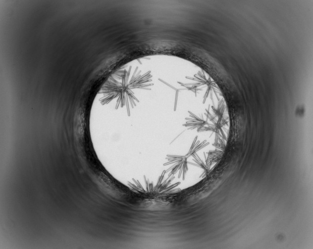 X0000103430644200810241059