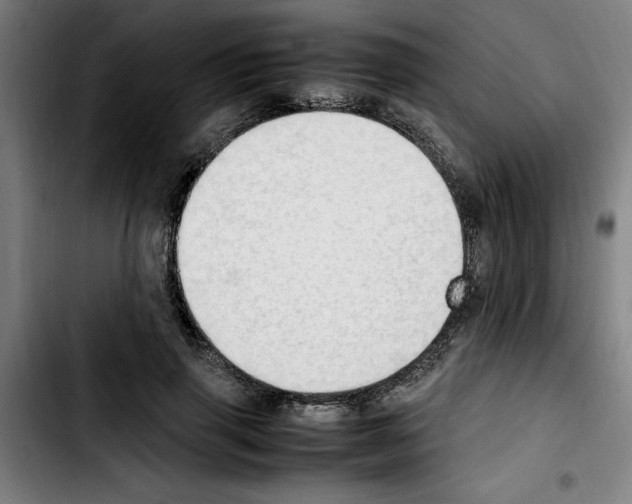 X0000103430645200810241059