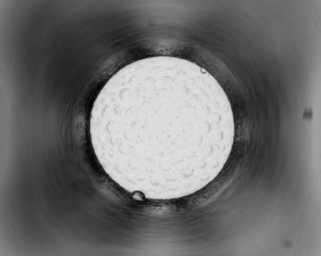 X0000103430646200810241059