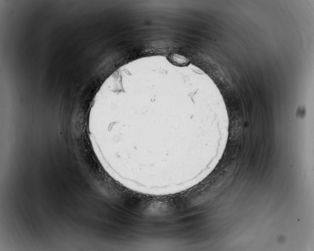 X0000103430647200810241059