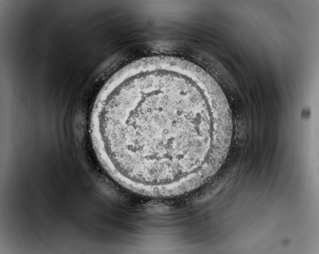 X0000103430648200810241059