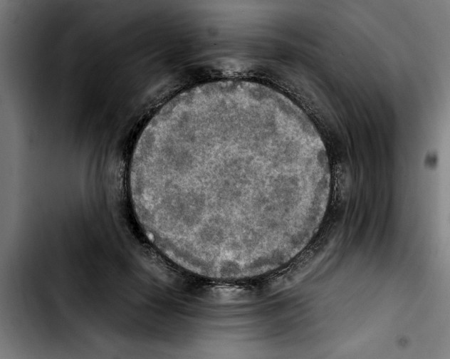 X0000103430650200810241059
