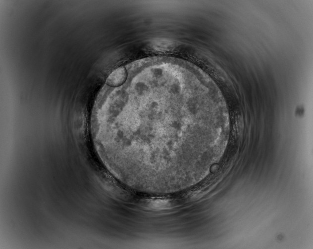 X0000103430651200810241059