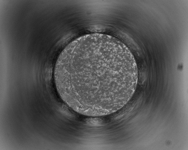 X0000103430652200810241059
