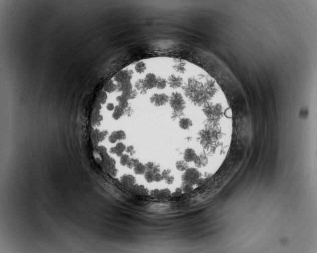 X0000103430653200810241059