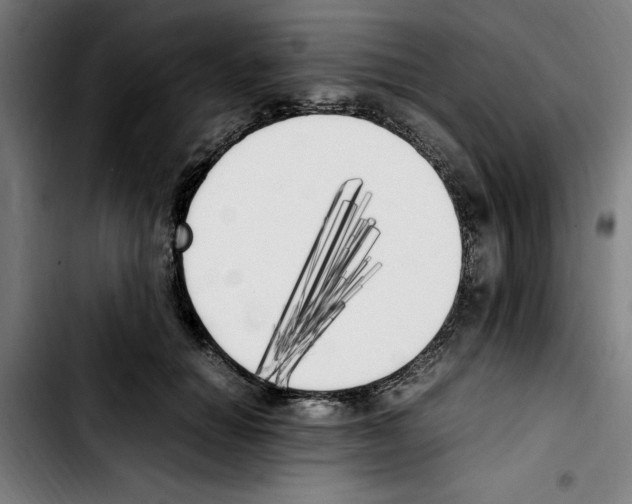 X0000103430654200810241059