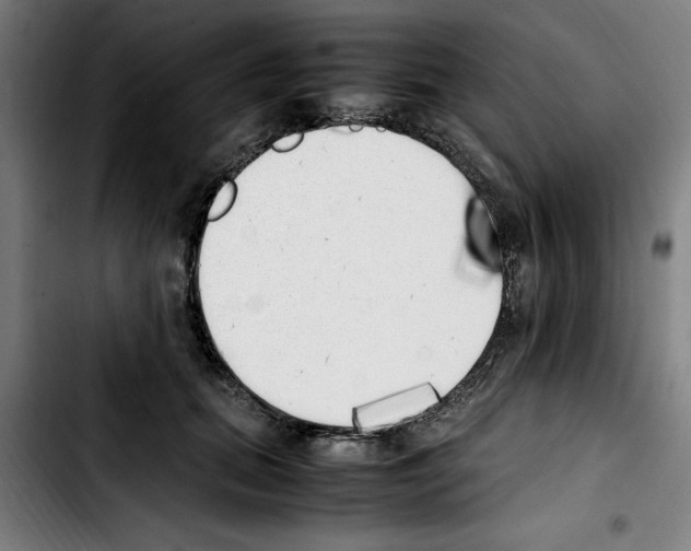 X0000103430655200810241059