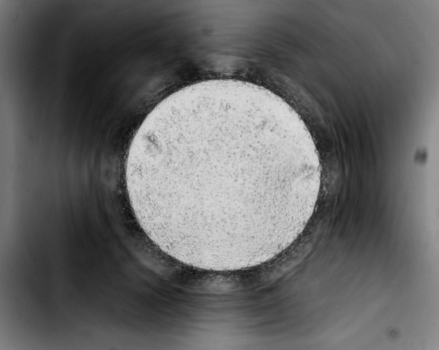X0000103430656200810241059