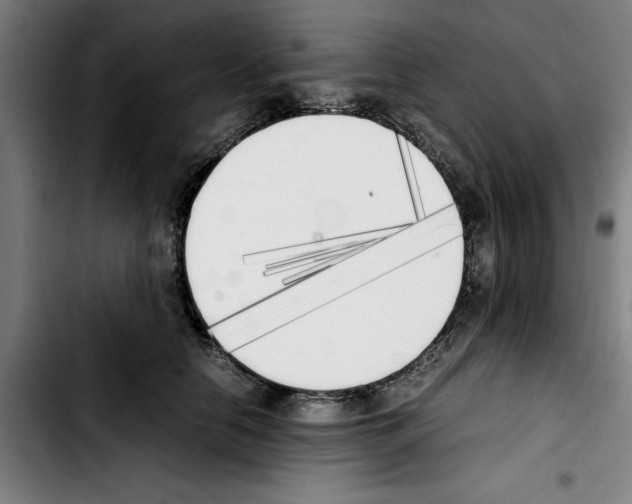 X0000103430658200810241059