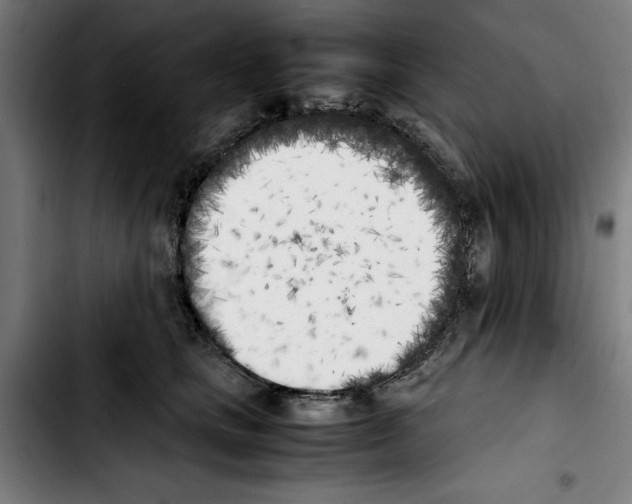 X0000103430661200810241100