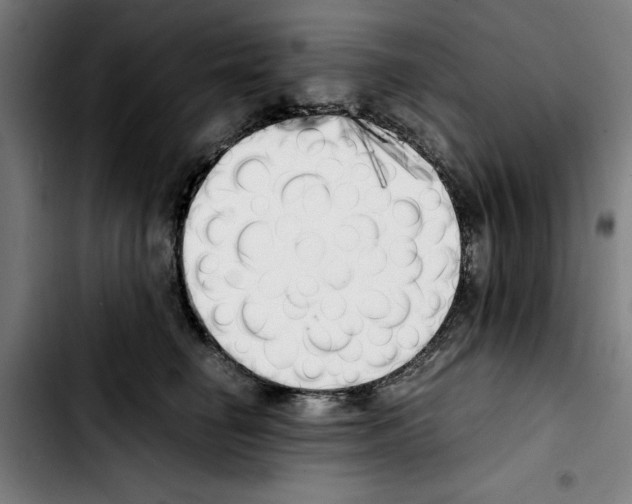 X0000103430662200810241100