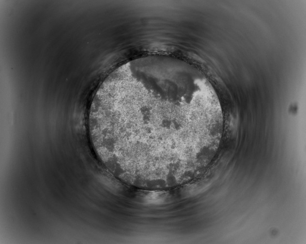 X0000103430663200810241100