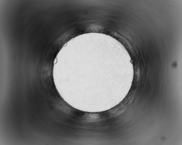 X0000103430665200810241100